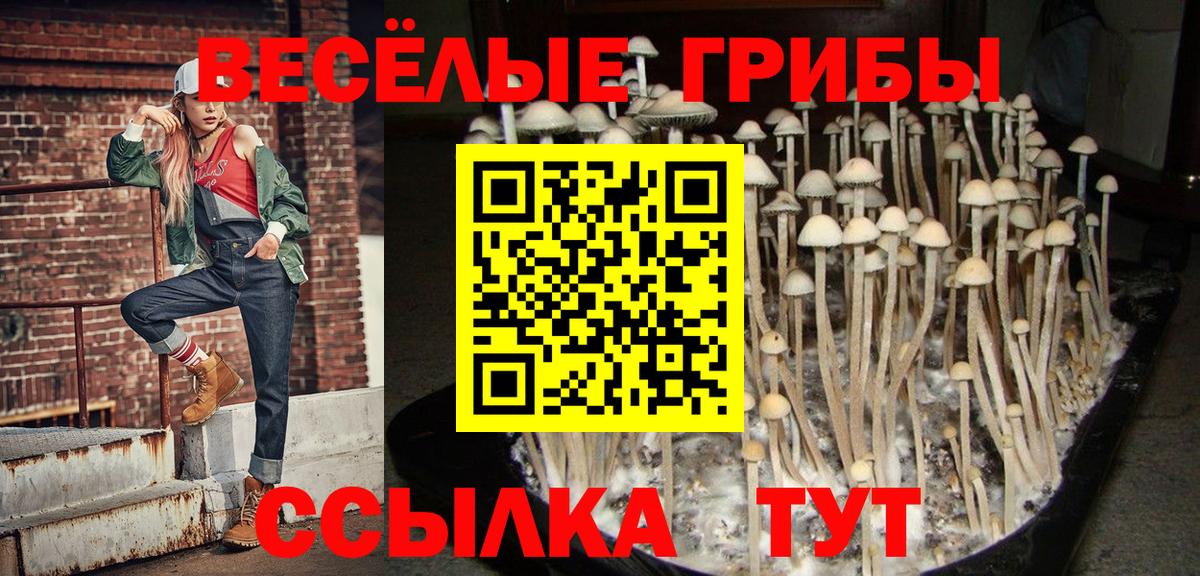 цена наркотик  Галлюциногенные грибы Psilocybine cubensis  Вход с VPN  Баксан 
