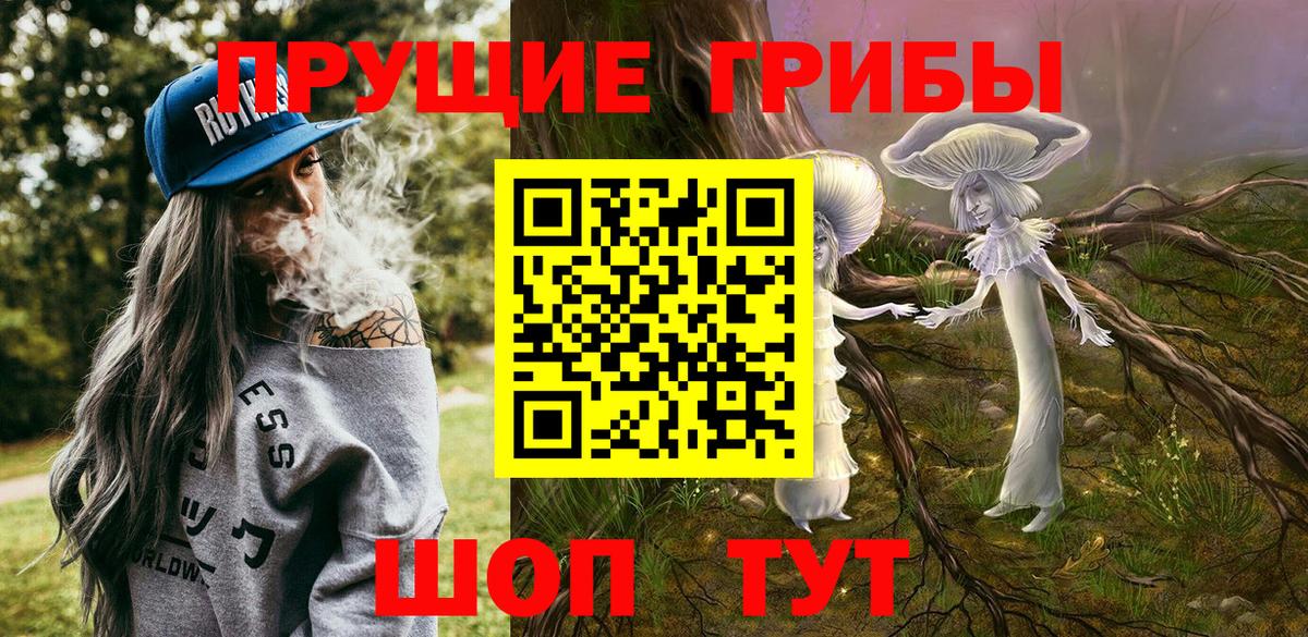 ГАШИШ Баксан