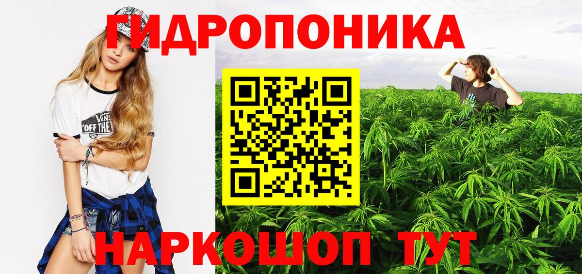 Конопля семена Баксан